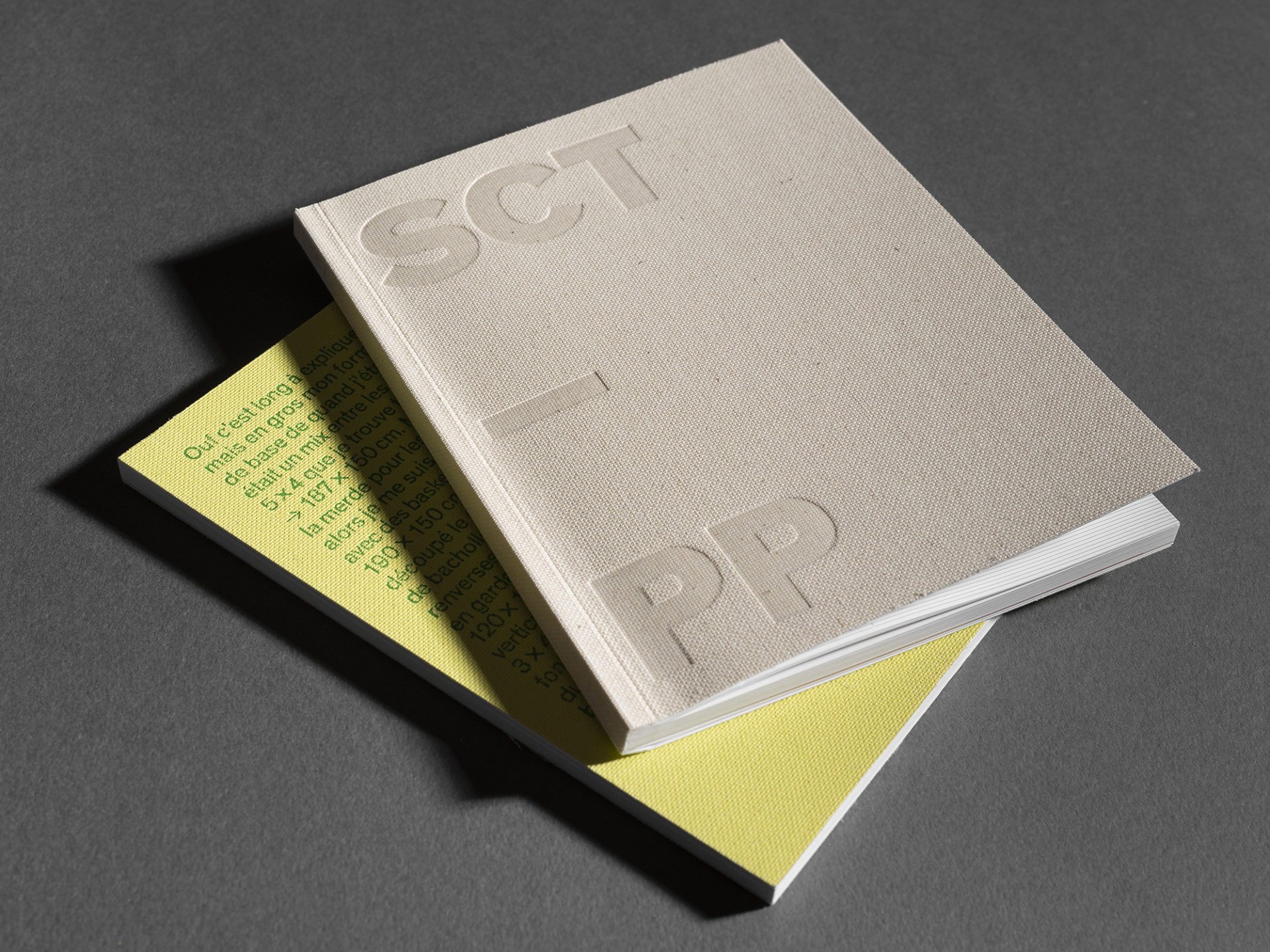 Micronaut Editions – Vevey SCT–PP : Sylvain Croci-Torti & Pauline Piguet